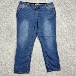 Democracy Ab Solution Jeans Womens Plus Size 16W Blue Boyfriend Stretch Denim